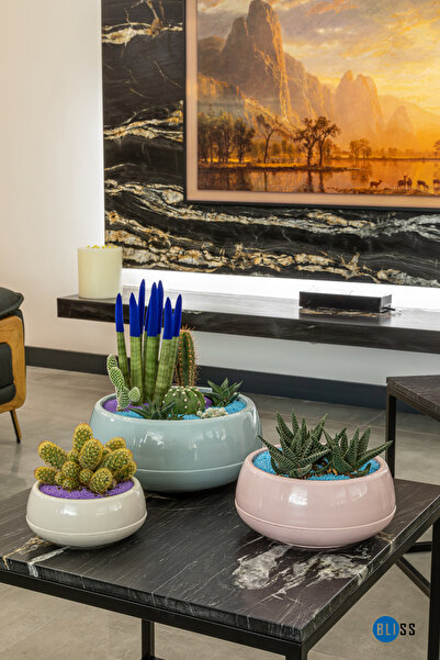 Bliss Saksı 2 Litre Antrasit Menekşe Kaktüs Sukulent Saksısı Parlak Plastik