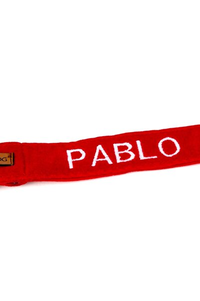 Lusi Doog İsme Özel Köpek Tasması İsimli Köpek Tasması ve Köpek Papyonu (Kadife)