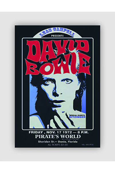 fırsatlar diyarı David Bowie  Leas Campell Presents Rock Müzik Duvar Posteri - Kalın Kağıt - Çerçevesiz
