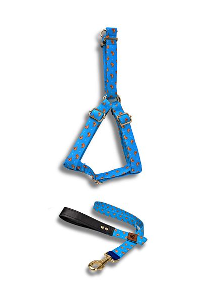 UTDpet Goldie Dog Chest Collar and Travel Dispatch Strap Set
