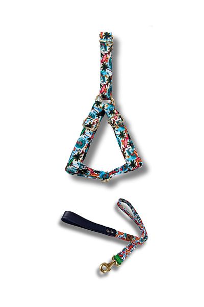 UTDpet Palm Beach Dog Collar and Travel Dispatch Strap Set