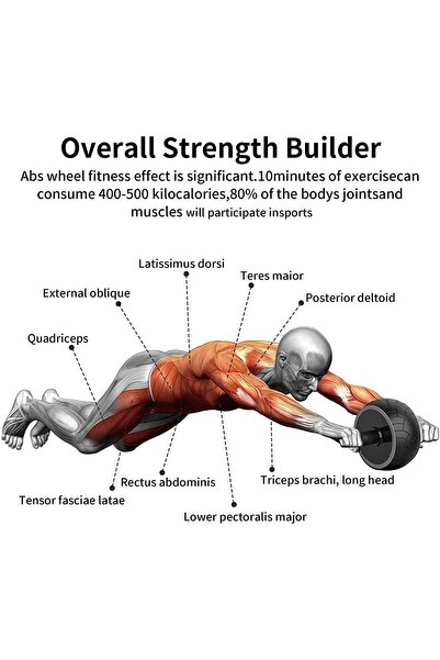 MultiFlexPro Ab Wheel Roller Egzersiz Tekerleği Profesyonel Ab Wheel Karın Kası Göğüs Şekillendirme Spor Aleti