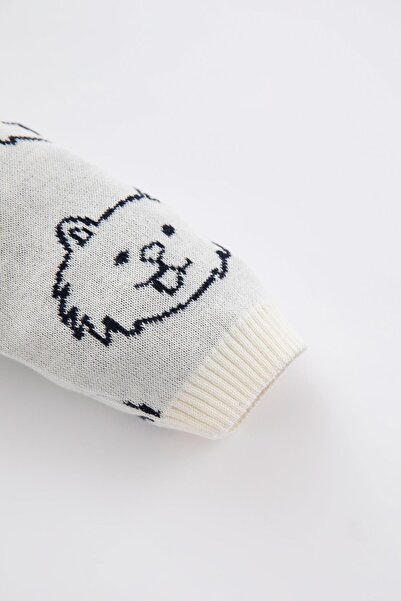 DeFacto Baby Boy Patterned Crew Neck Knitwear Cardigan Z1826a223sp