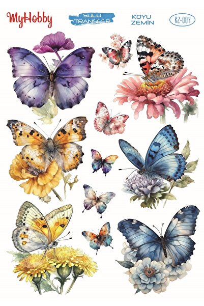 MyHobby Koyu Zemin Sulu Transfer KZ-007 25x35c