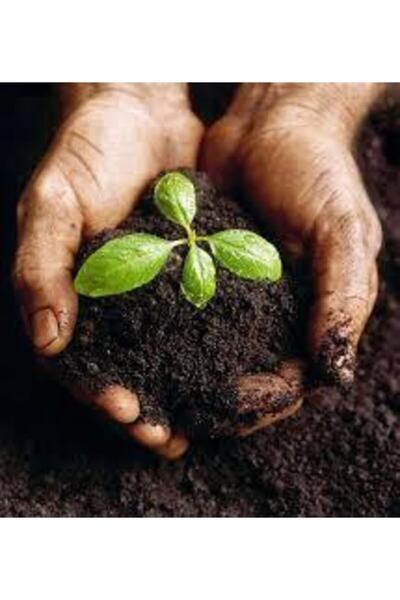 TALYA SOLUCAN Organik Solucan Gübresi Toz Sebze Meyve Ve Süs Bitkileri Saksı ...