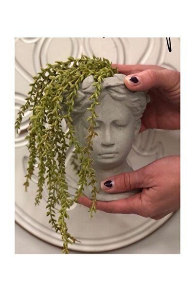 decolight 15 Cm Ortaboy Gri Ham Beton Helen Saksı