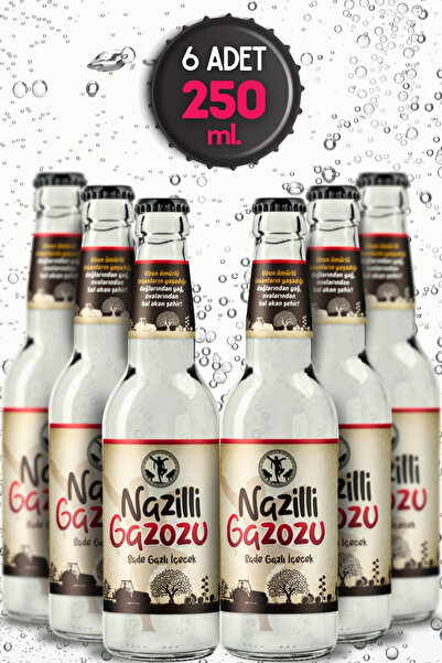 NAZİLLİ GAZOZU Yöresel Nazilli Gazozu 250 Ml. - Efsane Yerel Gazoz (6 Adet X ...