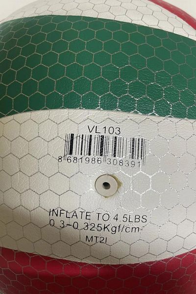 AVESSA VL-900 Model Volleyball Ball