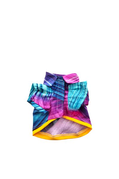atelyu cat dog suit colorful print shirt