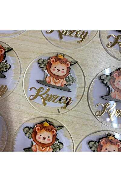 Roseart Aslan Boyalı Pleksi Bebek Hediyelik Magnet 10 adet