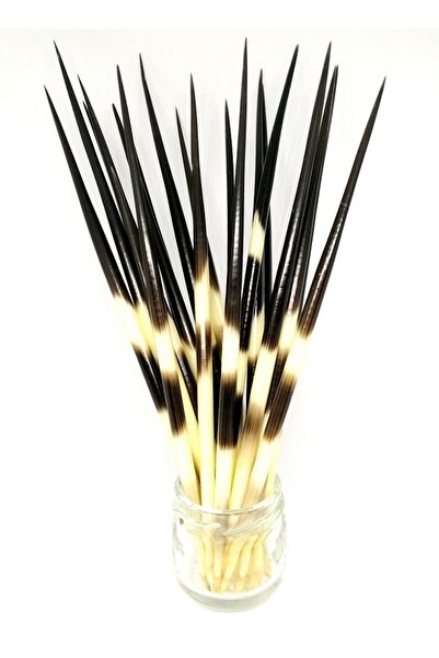 Sanathobi قناع القنفذ - قناع القنفذ - حجم صغير (من 10 إلى 14.99 سم) قطعة واحدة