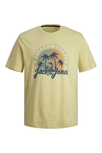 Jack & Jones JJSUMMER VIBE TEE SS CREW ΛΑΙΜΟΣ LN