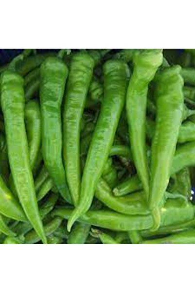 Köy Tohumları 100 Adet Tohum Tatlı Sivri Yeşil Biber Tohumu Organik Bahçe Toh...