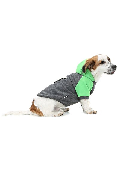 DOGİ&DOG سلالة صغيرة أبل القط الكلب سويتي-القط الكلب شخصية