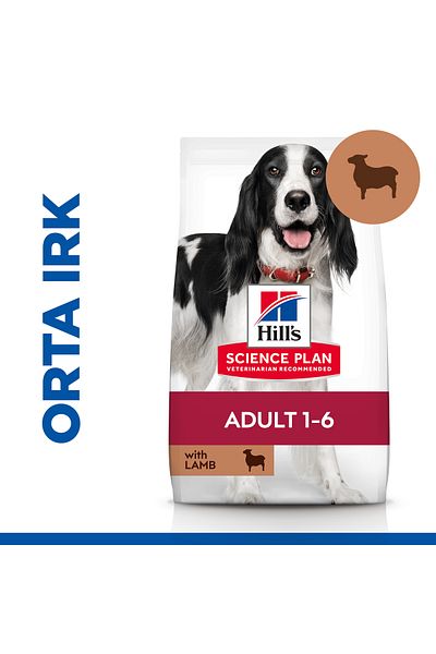 Hill's Hills Science Plan Lamb and Rice Medium Adult Dry Dog Food - 14 kg