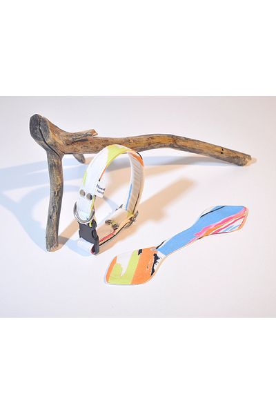 minart design Colorful Rainbow Colors Small Breed Neck Collar with Bow Detail, Cat Collar