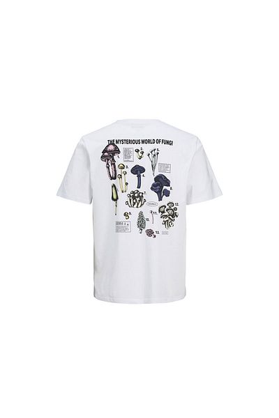 Jack & Jones Jorrecıpe Tee Ss Crew Neck Tg Ln