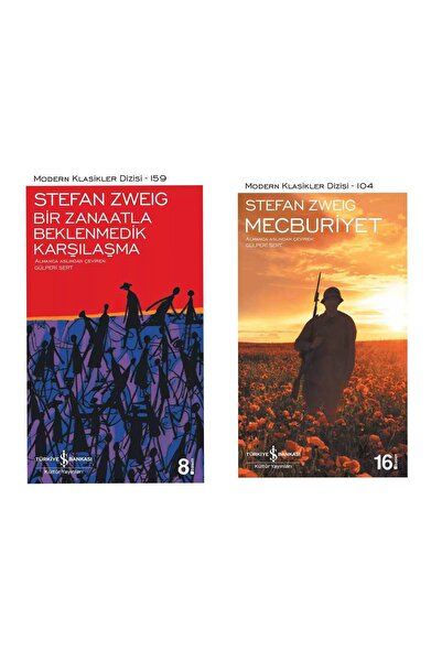 TÜRKİYE İŞ BANKASI KÜLTÜR YAYINLARI Stefan Zweig - Bir Zanaatla Beklenmedik K...