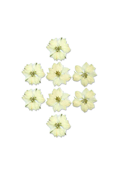 Epoxy Dried Flower Azalea White - 8 pcs