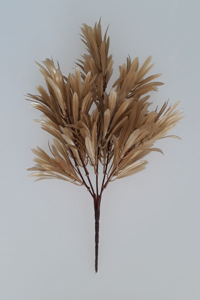 adresiburasi 5 فروع صناعية من أرادال أخضر لوتوس ذهبي