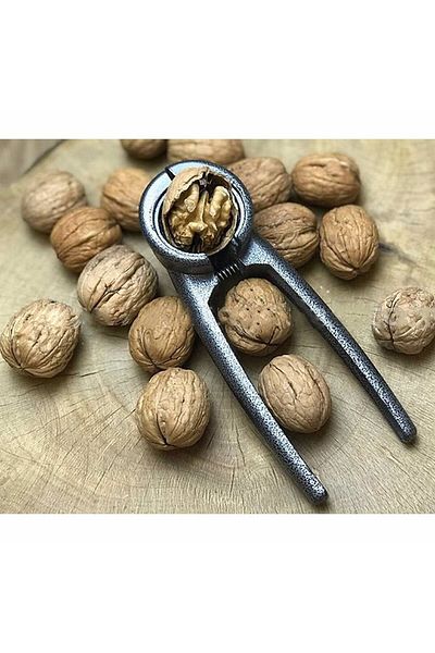 Bundeba Walnut Hazelnut Crack