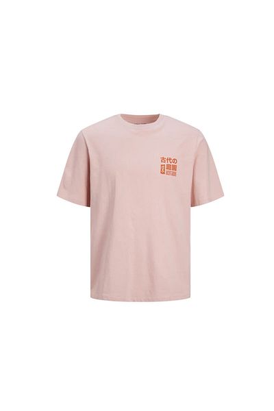 Jack & Jones Jorrecıpe Tee Ss Crew Neck Tg Ln