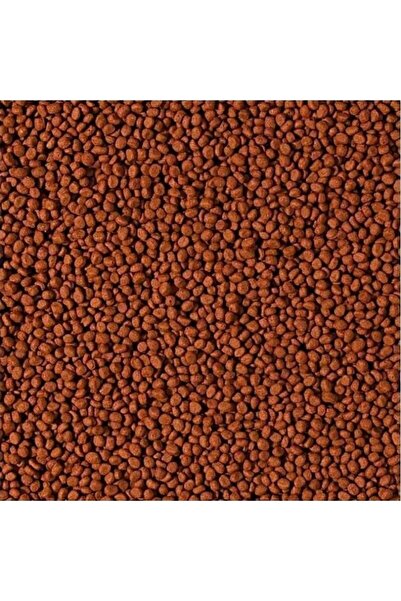 Cichlid Carnivore Small Pellet 10LT/3,6KG