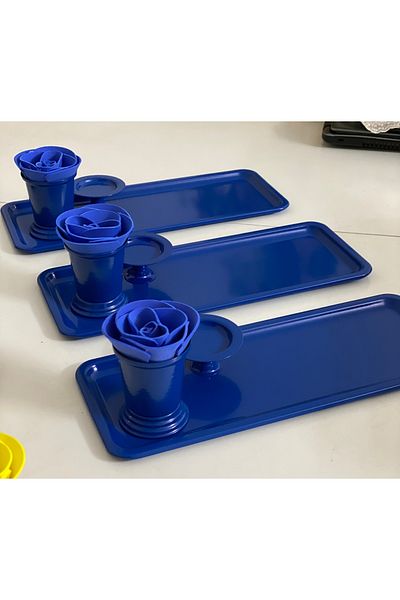 Elzem BLUE COLOR 3-PIECE SET RECTANGULAR PRESENTATION TABLE MAKARONluk ROSE BUCKET