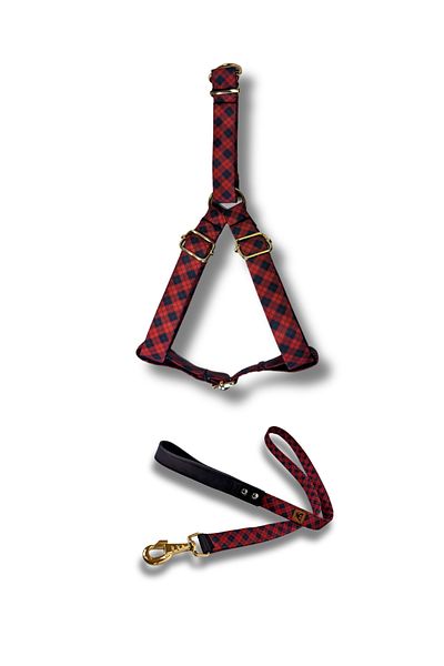UTDpet Stylish Dog Collar and Travel Dispatch Strap Set