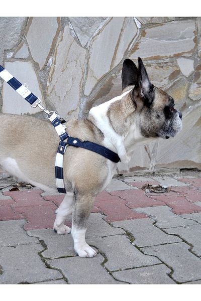 minart design Navy Blue White Thick Striped Denim Detailed Chest Collar