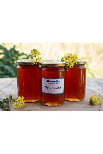 Özenir süt ürünleri 300 gr Net Çiçek Balı