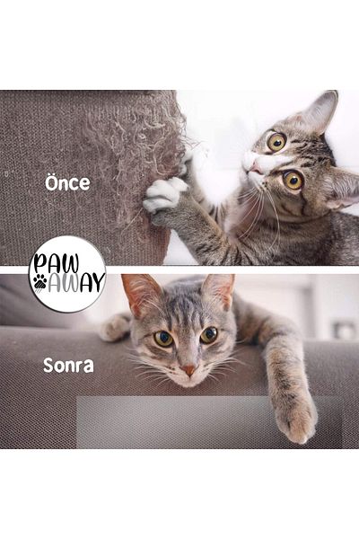 PAWAWAY Cat Training Tape Single Face Adhesive Scratching Deterrent Seat Furniture Protector 25x45 Cm4 Pieces