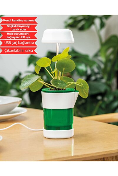 Genel Markalar Akıllı Bitki Çiçek Büyütme Saksısı Hızlı Bitki Yetiştirme Otom...