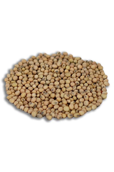 teknotrust Sebze Tohumları Yerli Soya Fasulyesi Tohumu 100 gr