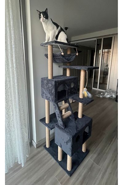 pethomealpi Cat Scratching House and Play Platform