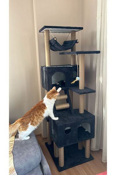 pethomealpi Cat Scratching House and Play Platform