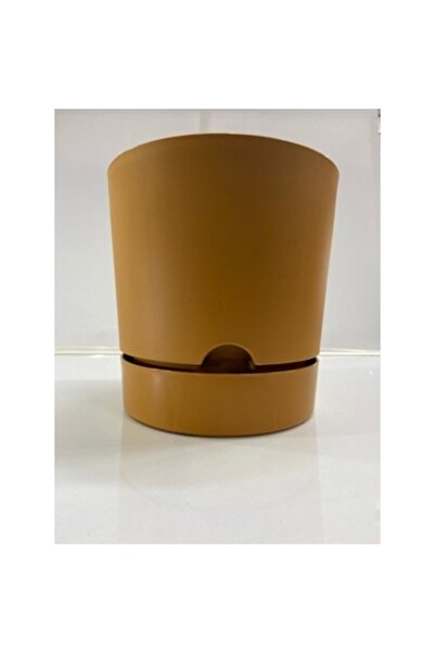 seazde POLİWORK Begonya 21 CM  5 Lt Hardal Saksı