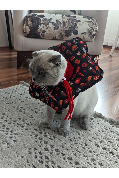 UTDpet Fastfood Patterned Cat and Dog Elizabeth Protective Collar