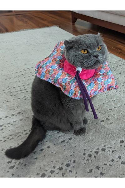 UTDpet Donut Patterned Cat and Dog Elizabeth Protective Collar