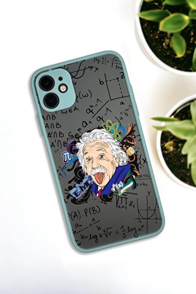 mooodcase iPhone 11 Uyumlu Einstein Desenli Buzlu Şeffaf Lüx Telefon Kılıfı
