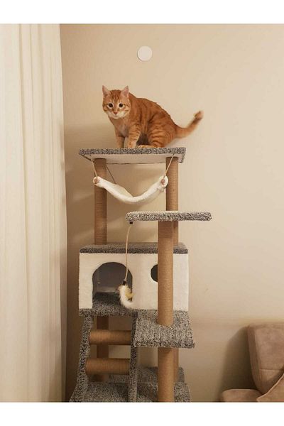 pethomealpi Cat Scratching House and Play Platform