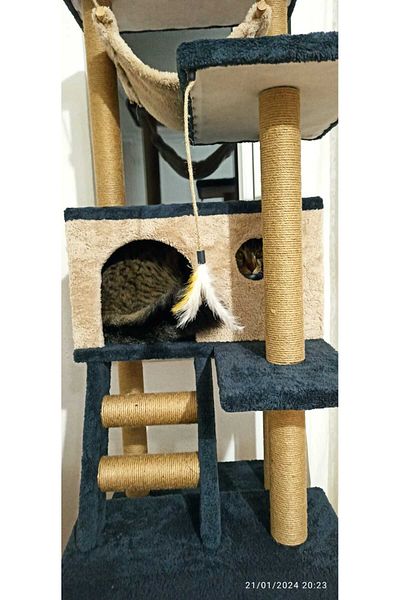 pethomealpi Cat Scratching House and Play Platform