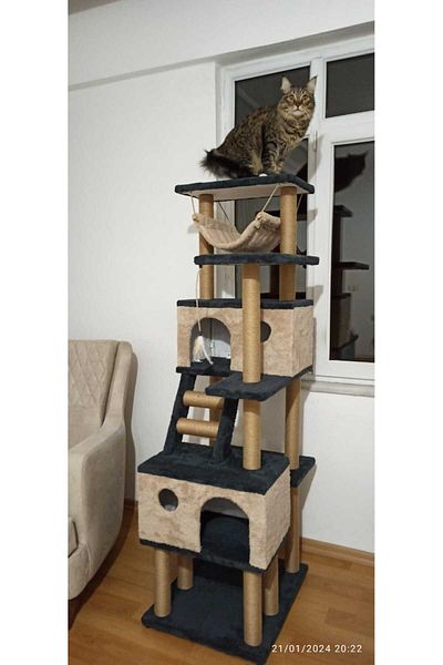 pethomealpi Cat Scratching House and Play Platform