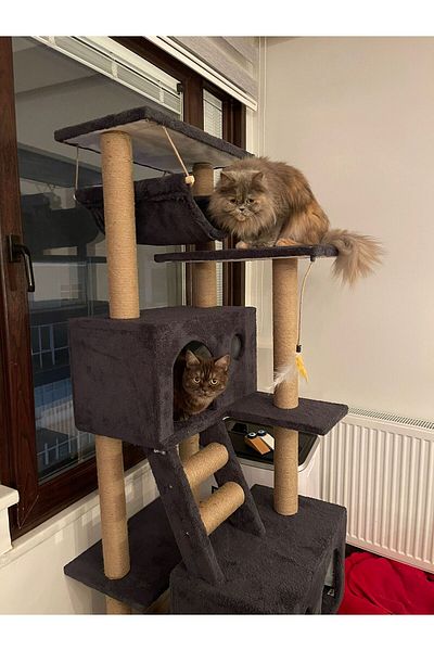 pethomealpi Cat Scratching House and Play Platform