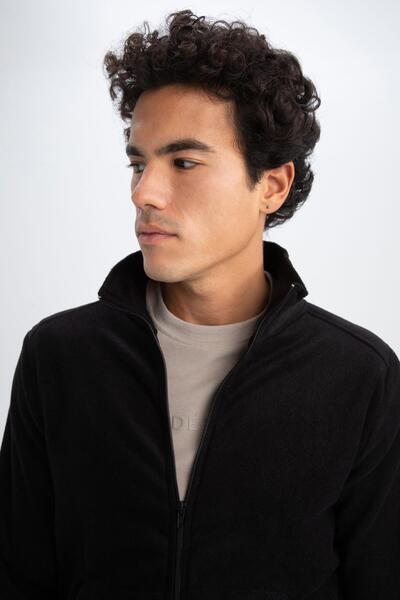 DeFacto Стандартен суитшърт с цип и стойка с яка, Z9650az22au