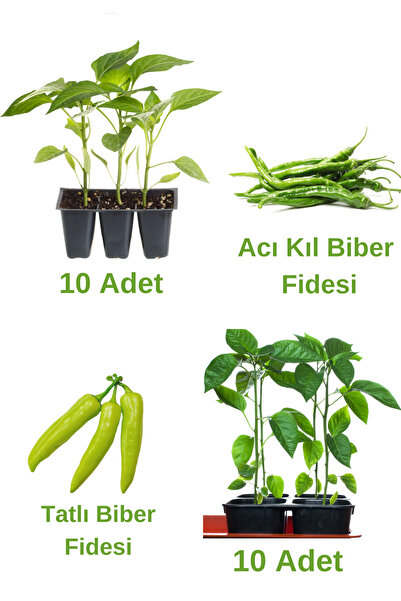 Bitkim Sende Biber Seti 10 Adet Acı Kıl Biber+ 10 Adet Tatlı Biber Fidesi