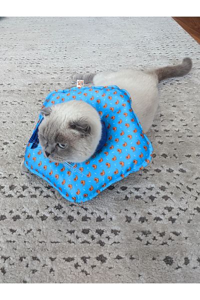 UTDpet Goldie Patterned Cat and Dog Elizabeth Protective Collar
