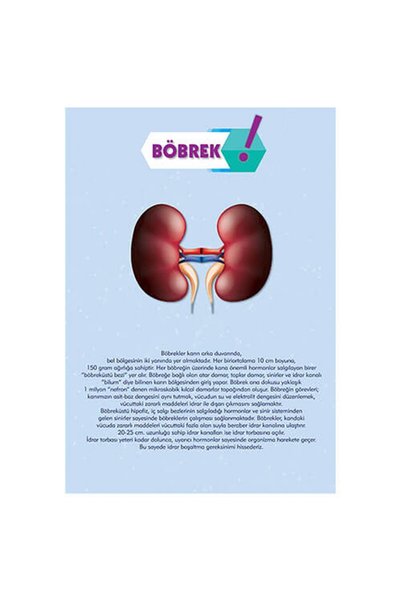 okularenkkat Böbrek Afişi