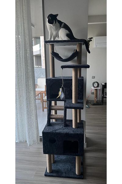 pethomealpi Cat Scratching House and Play Platform