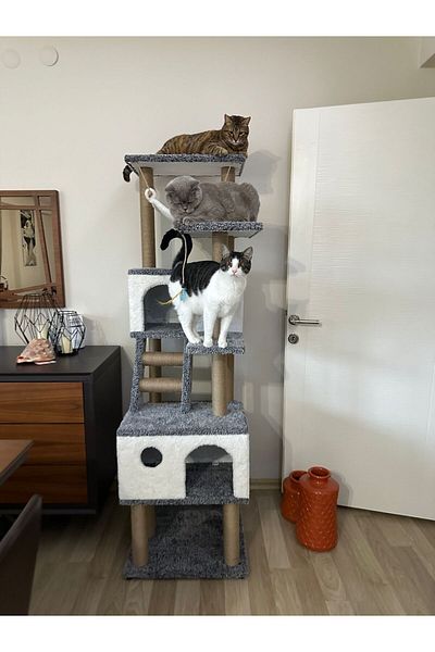 pethomealpi Cat Scratching House and Play Platform